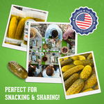 Whole Kosher Dill Pickles 4